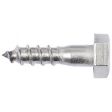 Hex Coach Screw Zinc M10x100mm